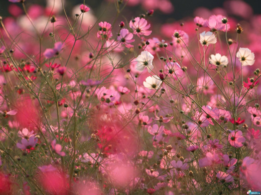 425551 (a): :1600x1200